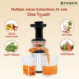 Faber Cold Press Slow Juicer FSJ 150 R, 150W, fruits, vegetables and leafy greens juicing, nut milk extraction, multiple juices at one touch