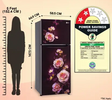 LG GL-N292DSBY 242L 2 Star Frost Free Double Door Refrigerator with Smart Inverter Compressor, Multi Air Flow, MOIST 'N' FRESH & Toughened Glass Shelves, Scarlet Bloom