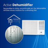 Voltas 2 Ton 2 Star, Turbo Mode Window AC (Copper Condenser, Anti-Rust Coating, Anti-Freeze Thermostat, AC 2T 242 Vectra Plus, White)