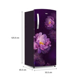 Whirlpool 192 L 3 Star Direct-Cool Single Door Refrigerator (215 IMPRO PRM 3S PURPLE PEONY-Z (72884))