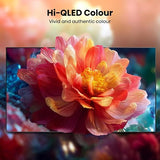 Hisense 55Q6S 55 Inch 4K Ultra HD Smart QLED TV | Quantum Dot, Dolby Vision, Dolby Atmos, VIDAA Smart OS