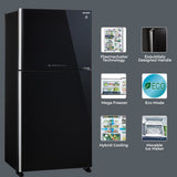 SHARP 613L 2 Star J-Tech Inverter Frost Free Double Door Refrigerator (SJGP60TBKEC, Glass Black, Plasmacluster Ions, Express Freeze, Hybrid Cooling)