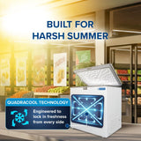 Blue Star HT3-N230 230L Hard Top Single Door Convertible Deep Freezer | 215L Storage | 3 Star | White