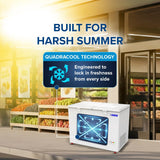 Blue Star HT4-N350 350L Hard Top Double Door Convertible Deep Freezer | 310L Storage | 4 Star | White