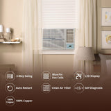 Lloyd 1.0 Ton 3 Star Fixed Speed Window AC (Copper,White with Silver Deco Strip, GLW12C3XWSEW)