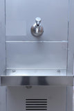 Blue Star SWC1515SS 15L Stainless Steel Wall Mounted Water Cooler with Food-Grade Tank, Fast Cooling & Durable Construction