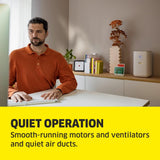 Karcher AF20 Air Purifier For Home,Dual H13 HEPA & Activated Carbon Filters,Removes 99.99% Pathogens & Fine Dust,430 Sq. Ft Coverage,