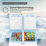 Godrej 302 L Double Door Convertible Deep Freezer (DH ESNCH 325D 2HCNP RW, White)