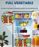 Lloyd 92 L Direct Cool Single Door 1 Star Refrigerator with Dedicated Freezer Section Big Bottle StorageFull Vegetable Box (Grey Metallic)