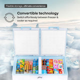 Godrej 405 L Double Door Convertible Deep Freezer (DH ESNCH 425E 2HCNP RW, White)