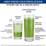 Crompton Ameo Fresh 200W Cold Press Juicer with Nutri Fresh Technology