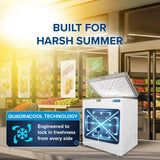 Blue Star HT3-N180, 180 Liter Hard Top Single Door Deep Freezer (161 Liter, White, 3-star)