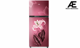 IFB 243 L 2 Star Frost Free Refrigerator with Surround Cool (IFBFF-2902IRBT)