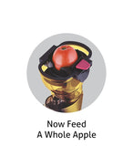 Glen Full Apple Cold Press Slow Juicer 200W, 2 Mesh Filters, Juice and Pulp containers Low Noise (4018), BPA-Free Material - Powerful Motor - 250 W, 2 Years Warranty SA-4018