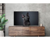 Samsung 55 Inch OLED S90C 4K Smart AI TV, Quantum HDR OLED, Neural Processor, Gaming TV (open box / without box)