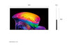 LG OLED65C6PLA 65 Inch OLED evo AI C6 4K Smart TV | α11 AI Processor Gen3 | Dolby Vision & Atmos | webOS 2026