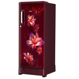 Whirlpool 192L 5 Star Direct Cool Single Door Refrigerator with Base Drawer, Wine Enchant-Y, Icemagic Powercool, IntelliSense Inverter Technology (215 IMPC ROY 5S INV WINE ENCHANT-Y, 73642)