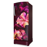 Whirlpool Icemagic Pro 207L 3 Star Direct Cool Single Door Refrigerator with Base Drawer, Wine Silk-Y, IntelliSense Inverter Technology, MicroBlock Technology – 230 IMPRO ROY 3S WINE SILK-Y (73736)