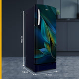 Whirlpool 236 L 5 Star Frost Free Inverter Direct-Cool Single Door Refrigerator (260 IMPRO PLUS ROY 5S INV BLUE BREEZE-Z)