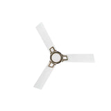 USHA CEILING FAN PHI PLUS 1200 mm 3 Blade Ceiling Fan  (White | Pack of 1)