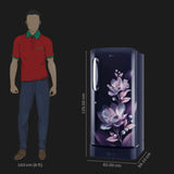LG 210 L Direct Cool Single Door 3 Star Refrigerator, GL-D231ABMD ( Bloom Marvel )