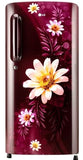 LG 261 L Direct Cool Single Door 3 Star Refrigerator GL-B281BSHX