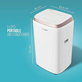 Lloyd 1 Ton Portable AC (Copper, LP12B01TP White)