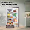 LG 224L 3 Star Direct Cool Single Door Refrigerator with Smart Inverter Compressor, Auto Smart Connect, Base Stand Drawer & Fawn Steel (GLD2336ZAFS)