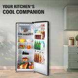 LG GL-B281BESX 261L 3 Star Direct Cool Single Door Refrigerator | Smart Inverter | Ebony Sheen