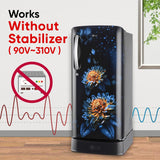 LG 185 L, 5 Star, Direct-Cool, Smart Inverter Compressor, Single Door Refrigerator with Fast Ice Making (GL-D201AEFU, Ebony Florance, Runs on Home Inverter, Moist 'N' Fresh &amp; Base stand with drawer)