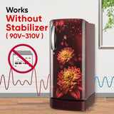 LG 185 L, 5 Star, Direct-Cool, Smart Inverter Compressor, Single Door Refrigerator with Fast Ice Making (GL-D201ASFU, Scarlet Florance, Runs on Home Inverter, Moist 'N' Fresh &amp; Base stand with drawer)
