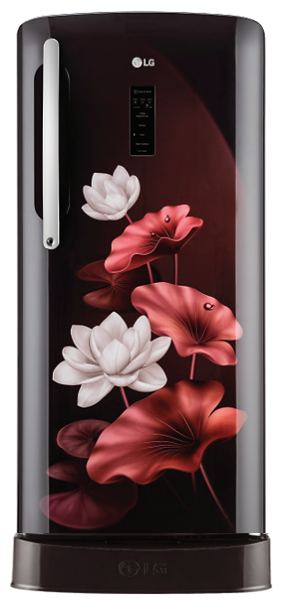 LG 185L 5 Star Direct-Cool Single Door Refrigerator (GL-D201ASLU, Moist 'N' Fresh)