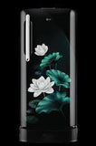 LG 201 L 5 Star Inverter Direct-Cool Single Door Refrigerator (GL-D211HELZ, Blue Emerald Lotus, Base stand with drawer)