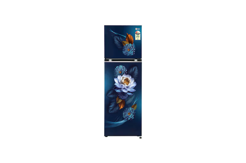 LG 272L Double Door Refrigerator, Smart Inverter Compressor, Convertible, Frost-Free, Blue Waterlily Finish, 2 Star GL-S312SBWY
