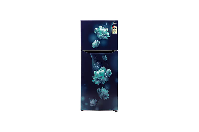 LG GL-N292BBCY 242 L 2 Star Frost-Free Double Door Refrigerator (Blue Charm) | Smart Inverter Compressor, Multi Air Flow