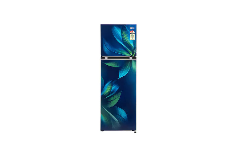 LG 246L Double Door Refrigerator with Smart Diagnosis, Multi-Air Flow, Blue Aurora Finish, 3-Star GL-S262SBAX
