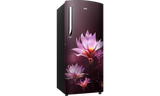 IFB 197 L 5 Star Direct Cool Refrigerator with Extra Height ,IFBDC-2235IRP