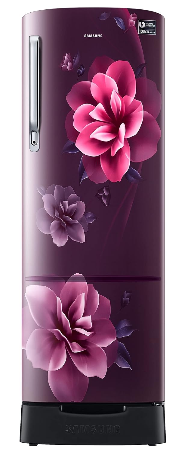 Samsung 246L 3 Star Inverter Direct-Cool Single Door Refrigerator Appliance (RR26C3893CR/HL,Camellia Purple) Base Stand Drawer