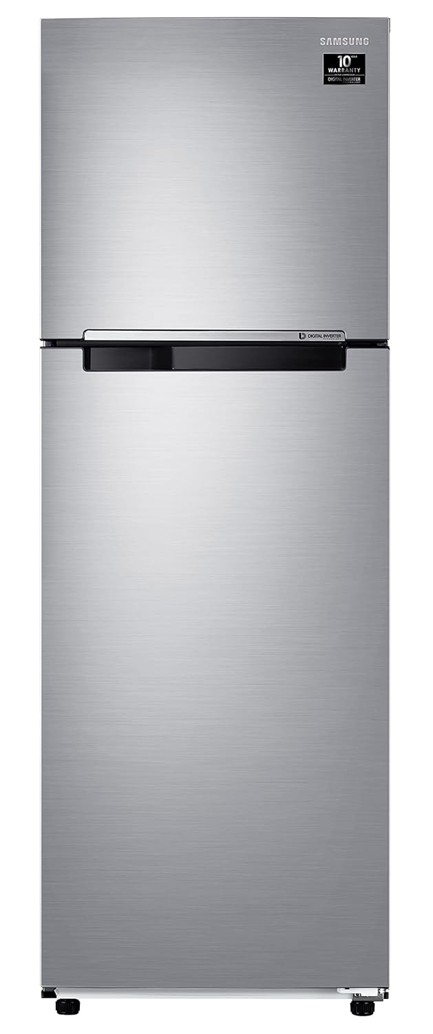 Samsung 256L 2 Star Inverter Frost-Free Double Door Refrigerator Appliance (RT30C3032GS/HL,Gray Silver)