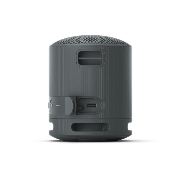 Sony SRS-XB100 Wireless Bluetooth Portable Lightweight Super-Compact Travel Speaker, Extra-Durable IP67 Waterproof & Dustproof, 16 Hour Battery, Versatile Strap, and Hands-Free Calling, Black New - Image 8