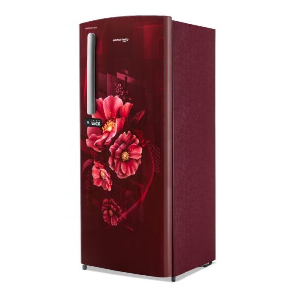 210 L, 3 Star, Direct Cool Single Door Refrigerator (RDC245C/W0BWE0M000UGD, Bonita Wine) - Image 2