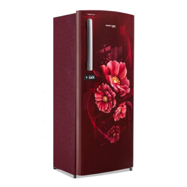 210 L, 3 Star, Direct Cool Single Door Refrigerator (RDC245C/W0BWE0M000UGD, Bonita Wine) - Image 3