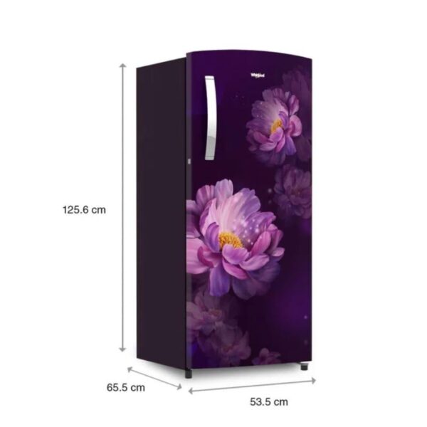 Whirlpool 192 L 3 Star Direct-Cool Single Door Refrigerator (215 IMPRO PRM 3S PURPLE PEONY-Z, 2023 Model) - Image 4