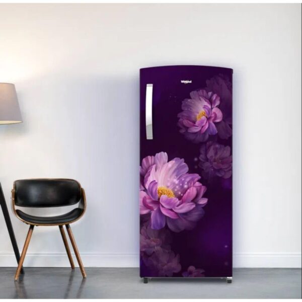 Whirlpool 192 L 3 Star Direct-Cool Single Door Refrigerator (215 IMPRO PRM 3S PURPLE PEONY-Z, 2023 Model) - Image 3