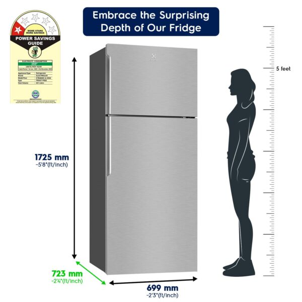 Electrolux 461L Frost Free Inverter Double Door Refrigerator, Top Freezer, TasteLockAuto & TasteGuard Technology, Arctic Silver Steel, UltimateTaste 500, ETB4600C-A - Image 8