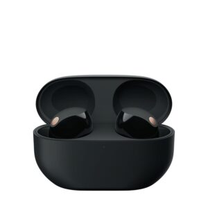 Sony WF-1000XM5 Best Active Noise Cancelling Wireless Bluetooth Earbuds with Mic, TWS, Up to 36 Hours Battery Life - Black