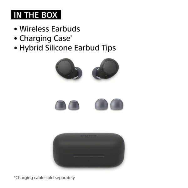 Sony WF-C510 Wireless Bluetooth Earbuds with Mic, TWS, in Ear, Ambient Sound Mode, Small and Comfortable, IPX4, Quick Charge, Multipoint Connectivity, Customized EQ, Up to 22 Hours Battery- Black - Image 4