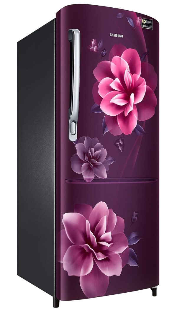 Samsung 223L 3 Star Inverter Direct-Cool Single Door Refrigerator Appliance (RR24C2723CR/NL,Camellia Purple) - Image 2