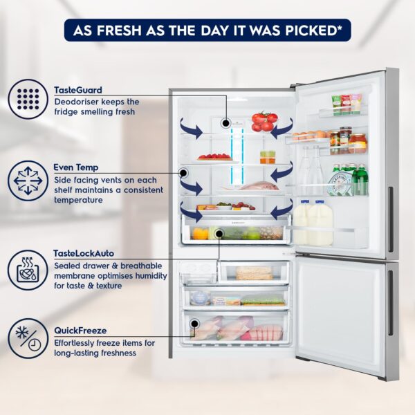 Electrolux 529L Frost Free Inverter Double Door Refrigerator, Bottom Freezer, TasteLockAuto & TasteGuard Technology, Stainless Steel, UltimateTaste 500, EBE5302C-S - Image 7