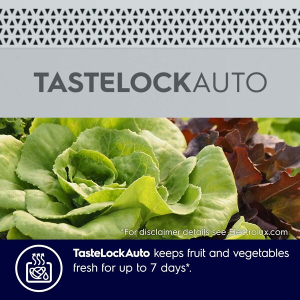Electrolux 461L Frost Free Inverter Double Door Refrigerator, Top Freezer, TasteLockAuto & TasteGuard Technology, Arctic Silver Steel, UltimateTaste 500, ETB4600C-A - Image 9